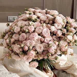 Meet your Posher, Jen